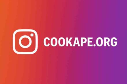 Cookape.org: A Complete Guide to Instagram Growth