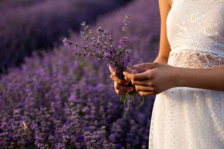 Transform Your Outdoor Space with Expert Fort Worth Landscaping Tips